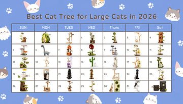 What Is the Best Cat Tree for Large Cats in 2026?