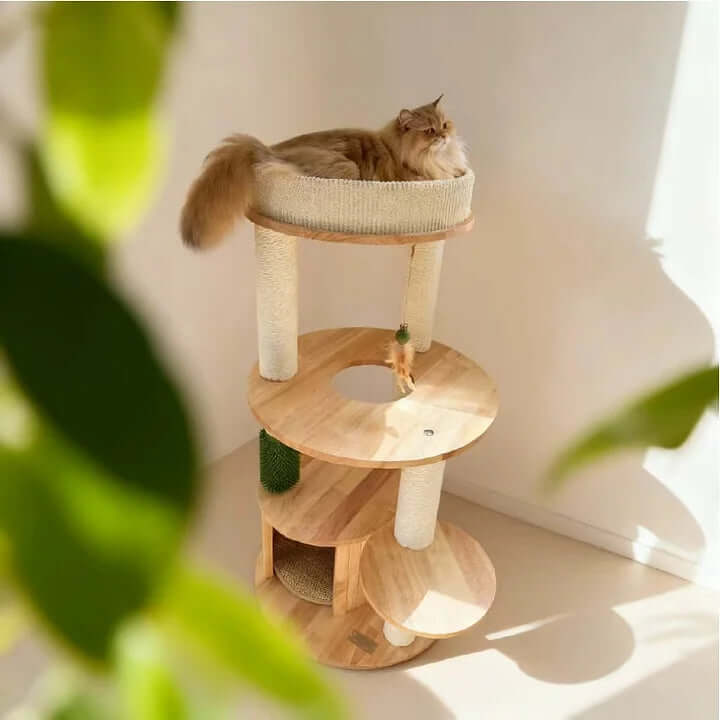 Solid Oak Multi-Level Cat Tree – Indoor Tower for Small & Short-Legged Cats