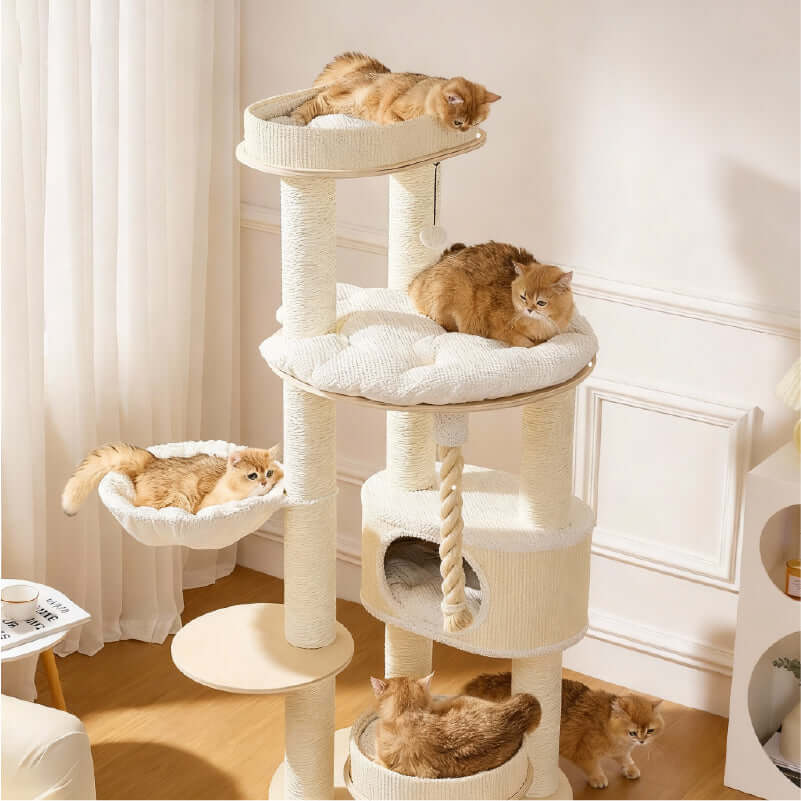 The Perfect Cat Tree for Play and Rest