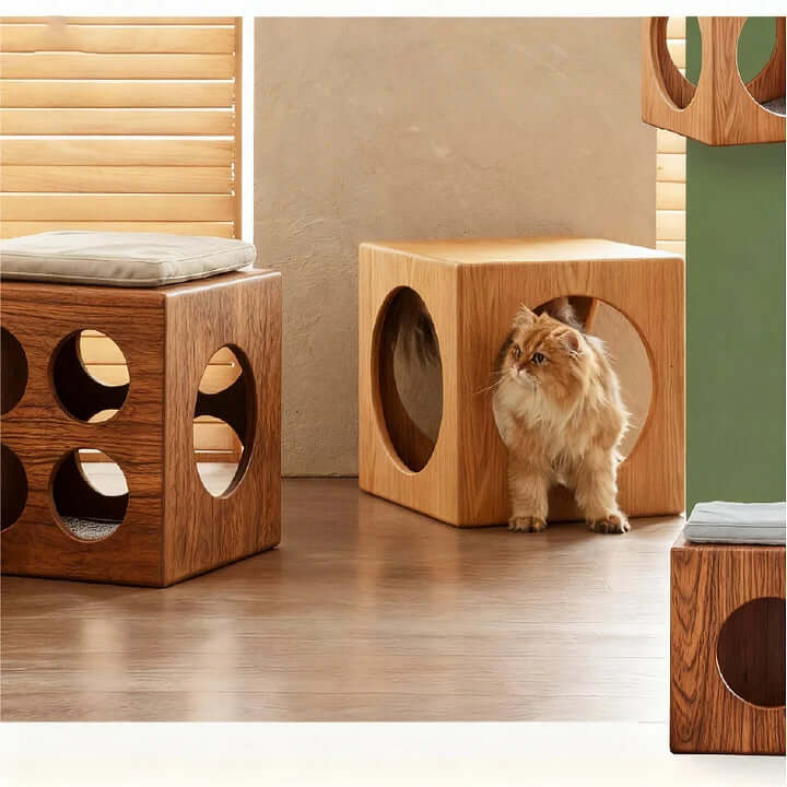 Multi-Purpose Cat Cube – Cozy Cat Bed & Stylish Home Furniture