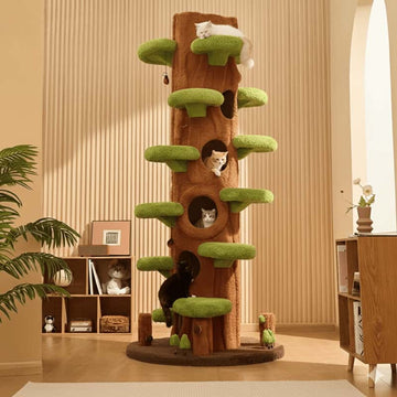 Luxury Cat Tree Looks Like Tree Tall Climbing Frame