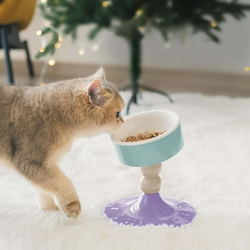 Tilted Ceramic Cat Bowl