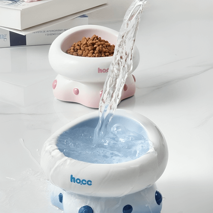 Ceramic Raised Feeding Bowl for Cats