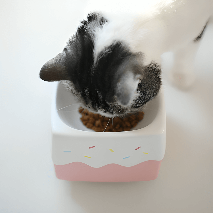 Ergonomic Ceramic Cat Bowl – 15° Tilt