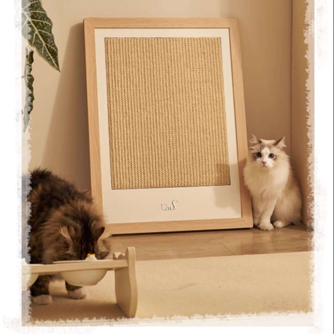 Wall-Mounted Cat Scratcher with Replaceable Sisal