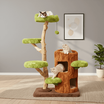 Natural Wood Cat Tree for Large Cats – Stable, Stylish & Compact