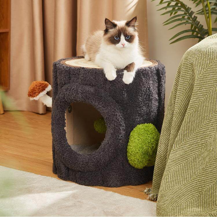 Multi-Functional Shared Living Stump: Designer Side Table, Stool, & All-in-One Cat Tree