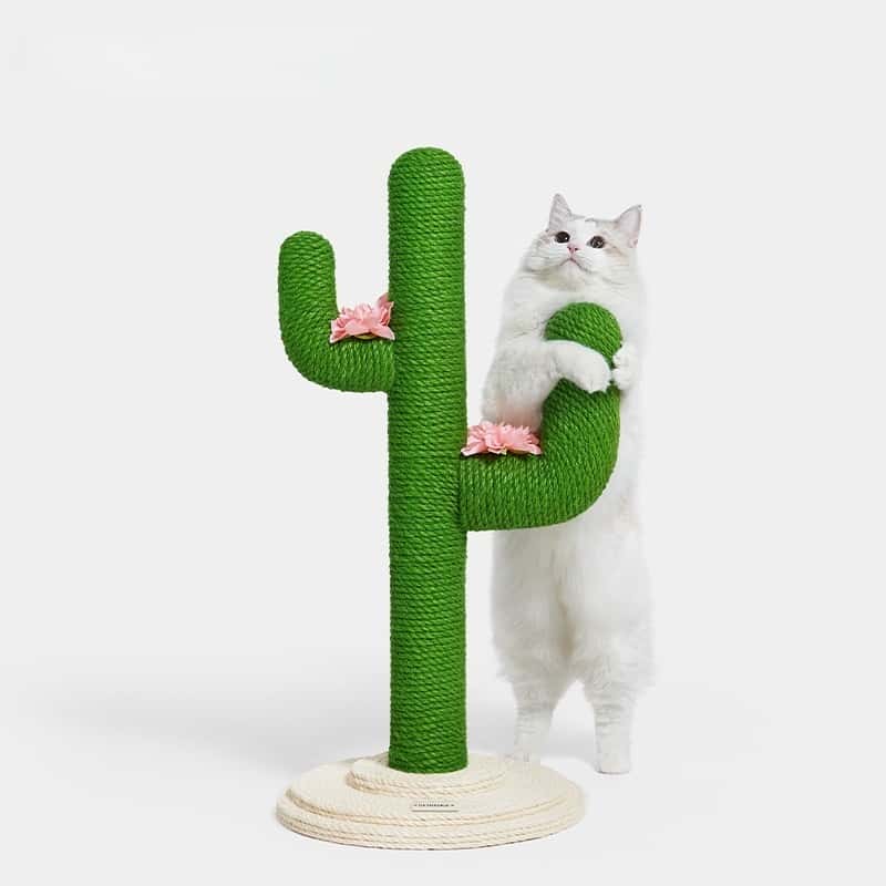 Blooming Cactus Cat Tree