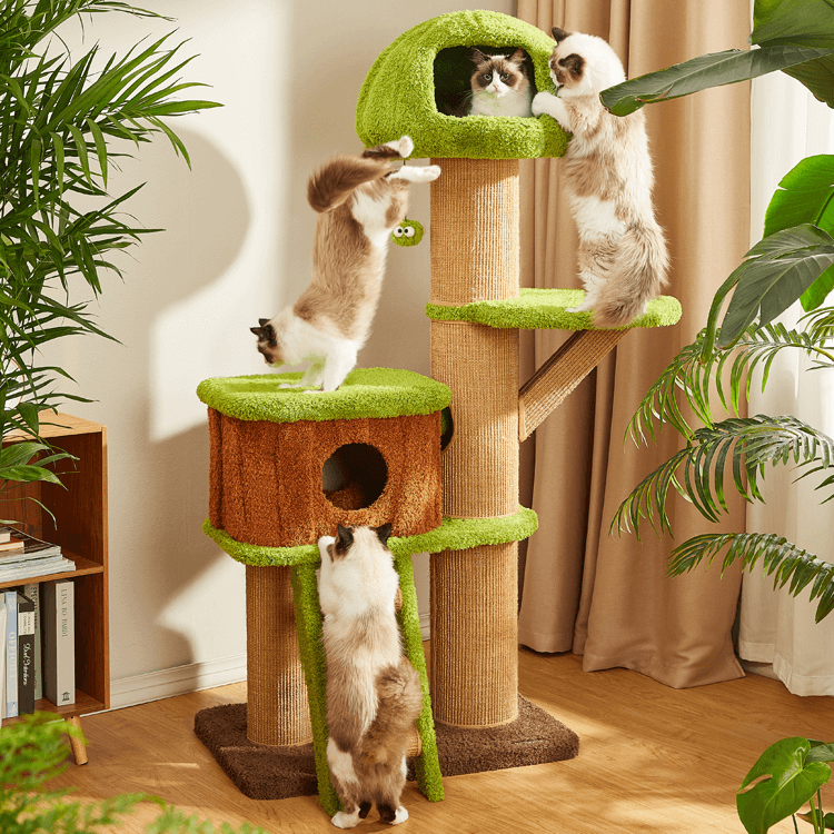 Forest Mushroom Cat Tree — Condo, Scratching Posts & Play Ladder