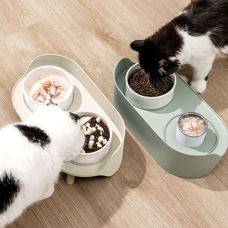 Elegant Bone China Double Cat Bowl