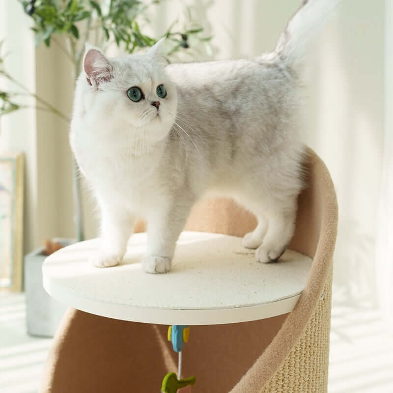 The Cozy Hideaway Sisal Cat Condo