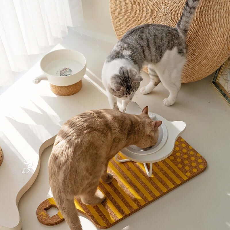 Cat Bowl with Adorable Cat Head — Perfect for Healthy Feeding