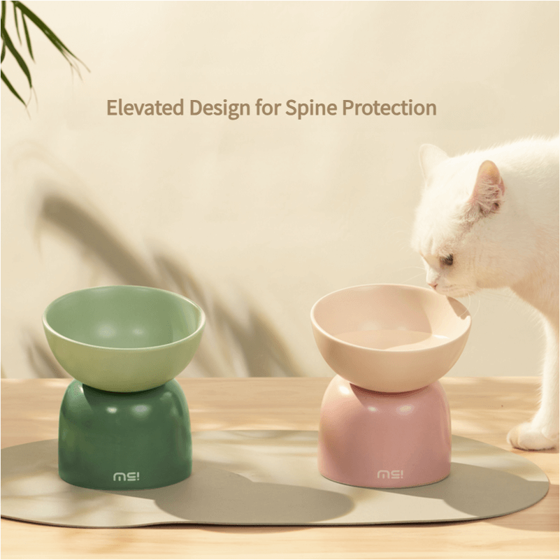 Elevated Ceramic Cat Bowl – 15° Tilt for Neck Comfort