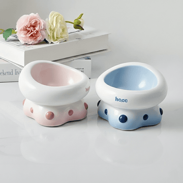 Ceramic Raised Feeding Bowl for Cats