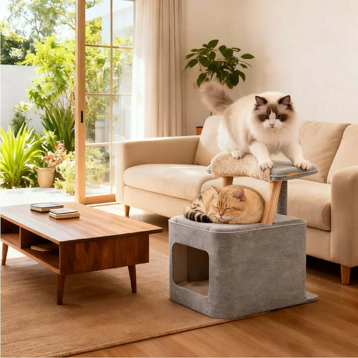 Shared Cat Furniture Chair — Cozy Spot for You and Your Feline