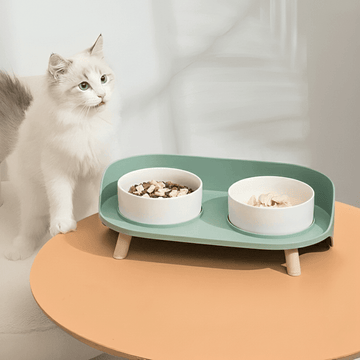 Elegant Bone China Double Cat Bowl