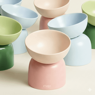 Elevated Ceramic Cat Bowl – 15° Tilt for Neck Comfort