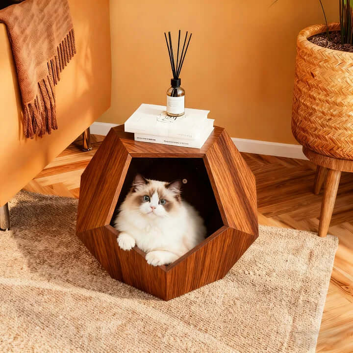 Multipurpose Wooden Cat House – Modern Furniture for You and Your Cat