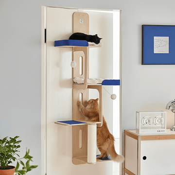 Over-the-Door Cat Scratcher & Climber