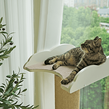 Window Cat Tree & Scratching Post