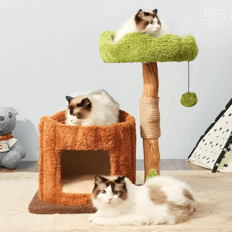 Natural Wood Cat Tree for Large Cats – Stable, Stylish & Compact