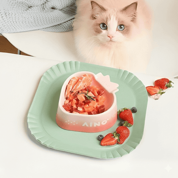 Strawberry Mousse Ceramic Cat Food Water Bowl