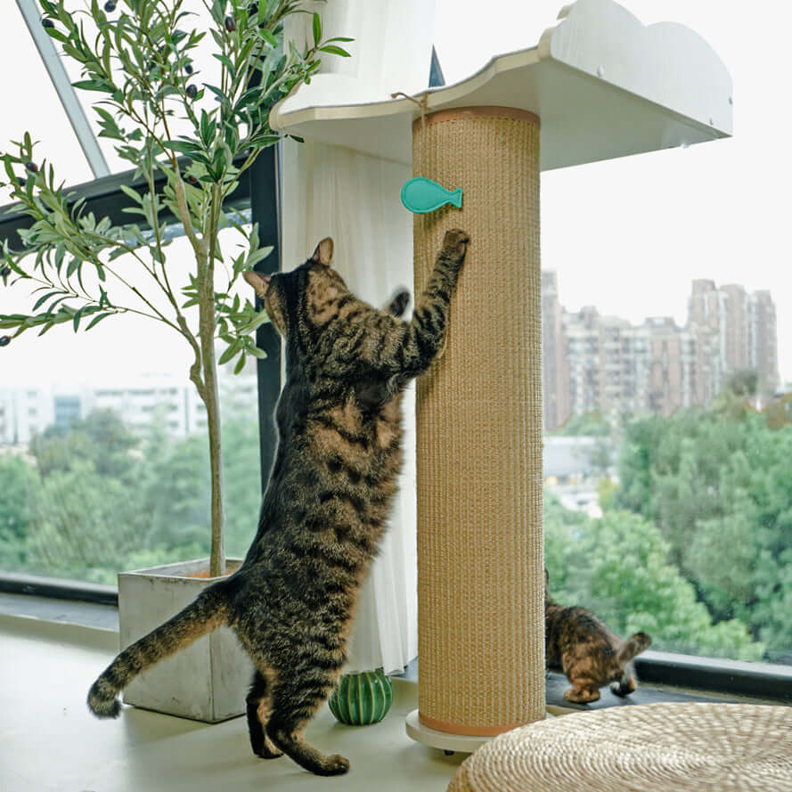 Window Cat Tree & Scratching Post